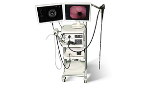 Host System Analysis of Endoscope