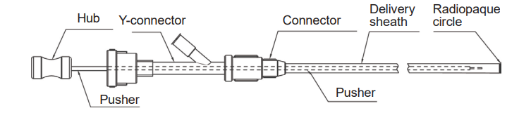 ordering information