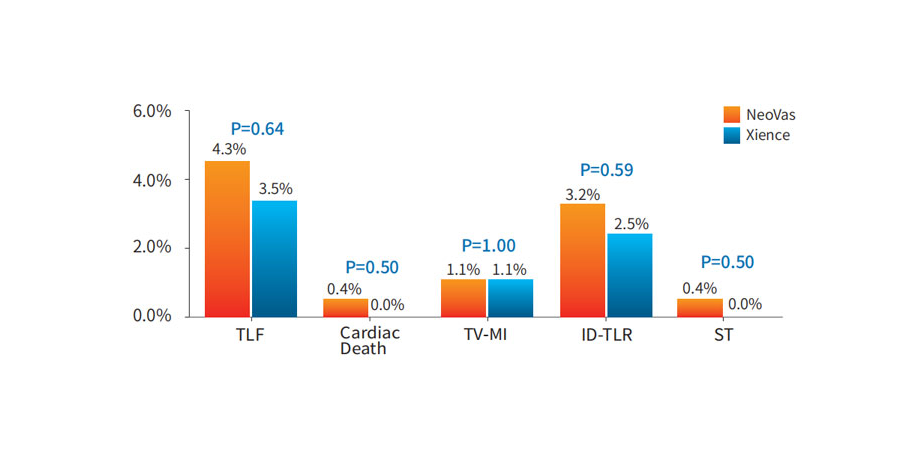 The clinical result at one year followup